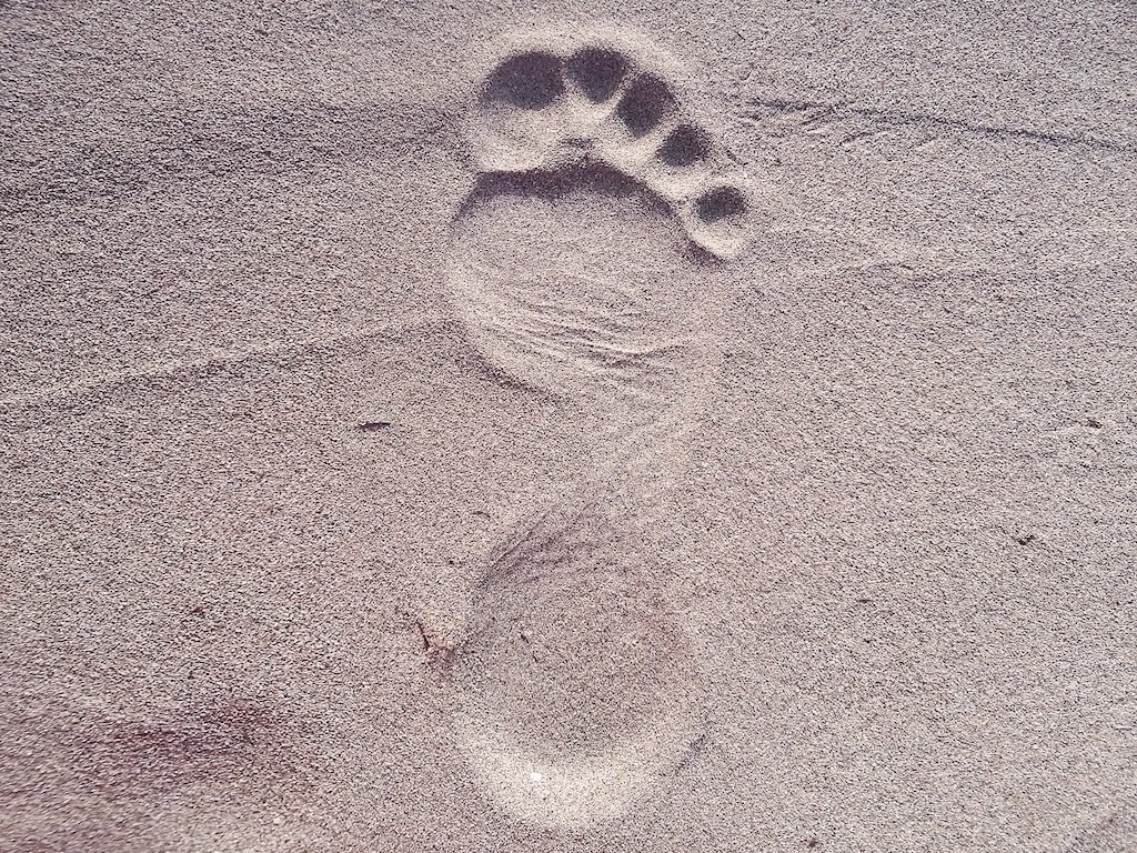 beach-footprint